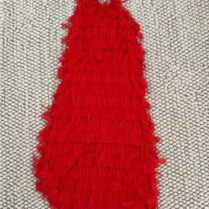 Zara Bold Red Dress